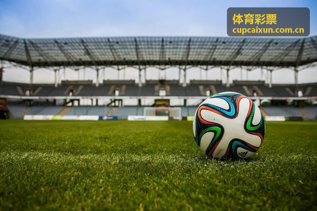 体育彩票公益项目中的社区体育活动