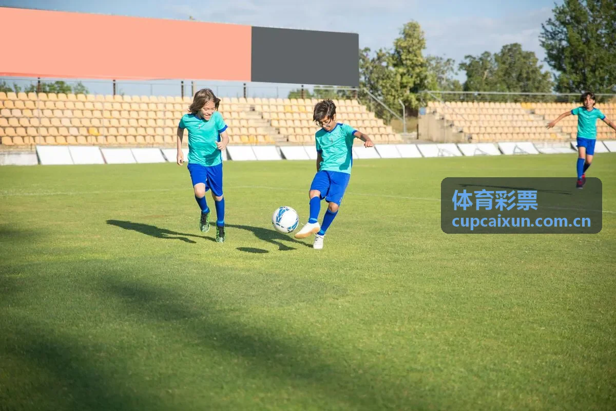 体育彩票理性参与服务提示